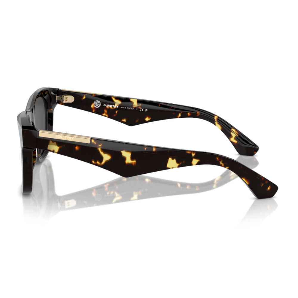 Burberry BE4426504106 Men's Square Solid Color Sunglasses