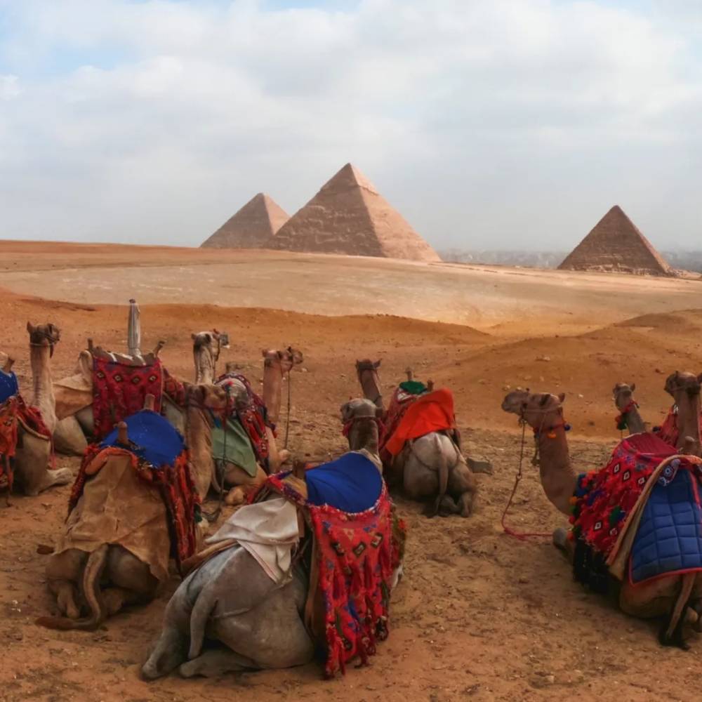 GoPro Enduro Battery for HERO13 - Black