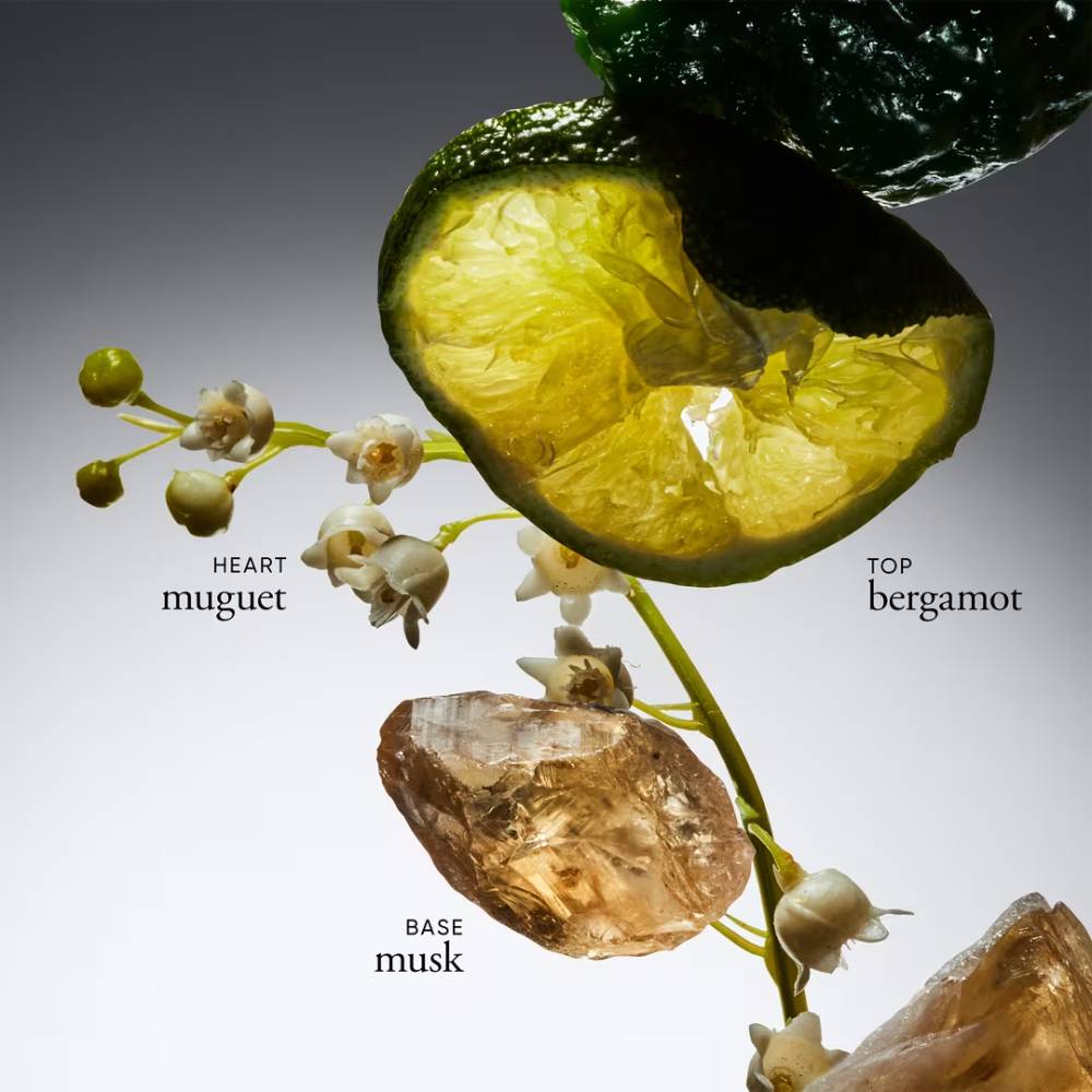 Philosophy Amazing Grace Limited Edition 2 oz Eau de Toilette