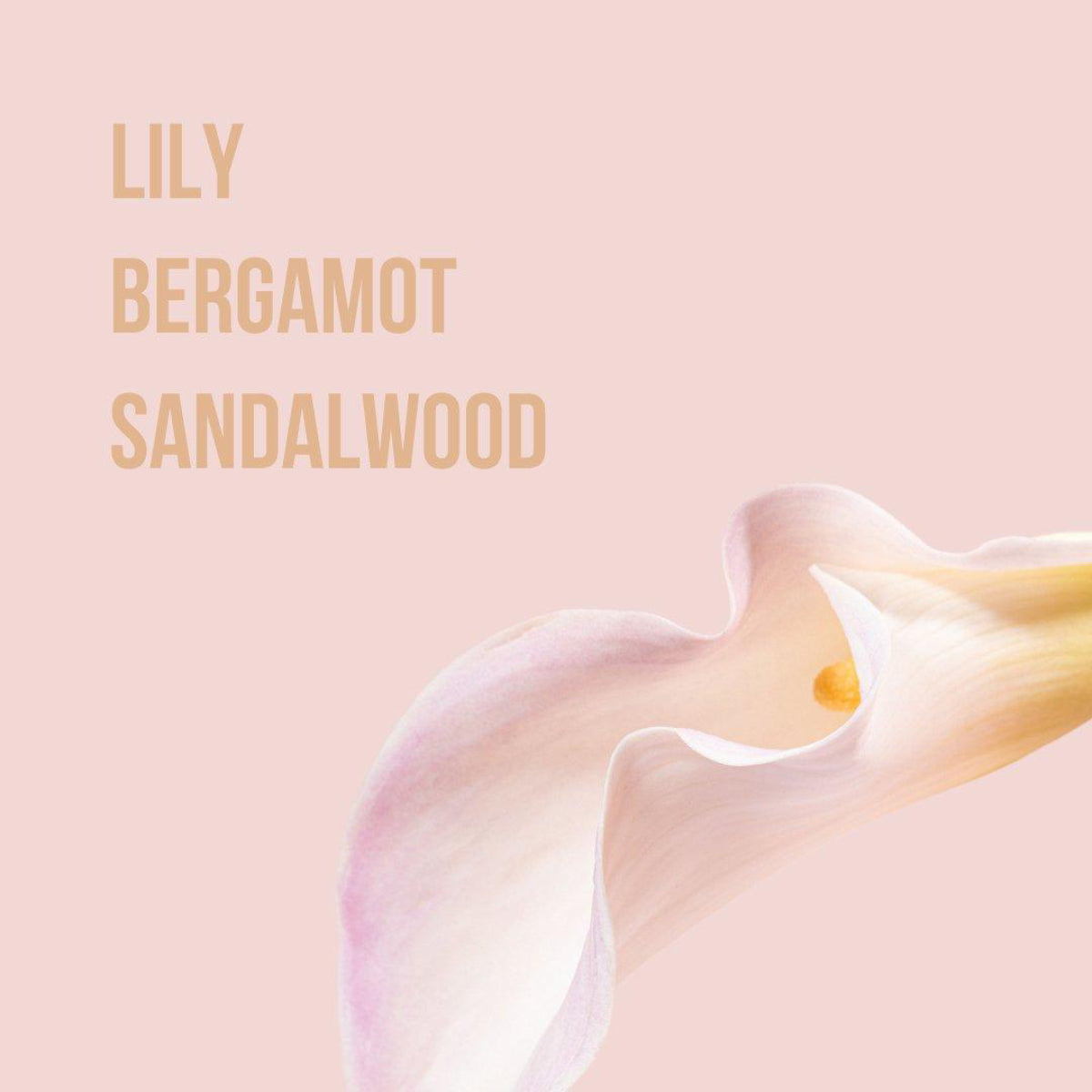 Beauty Creations Women's All Mine 8.4 oz Body Mist