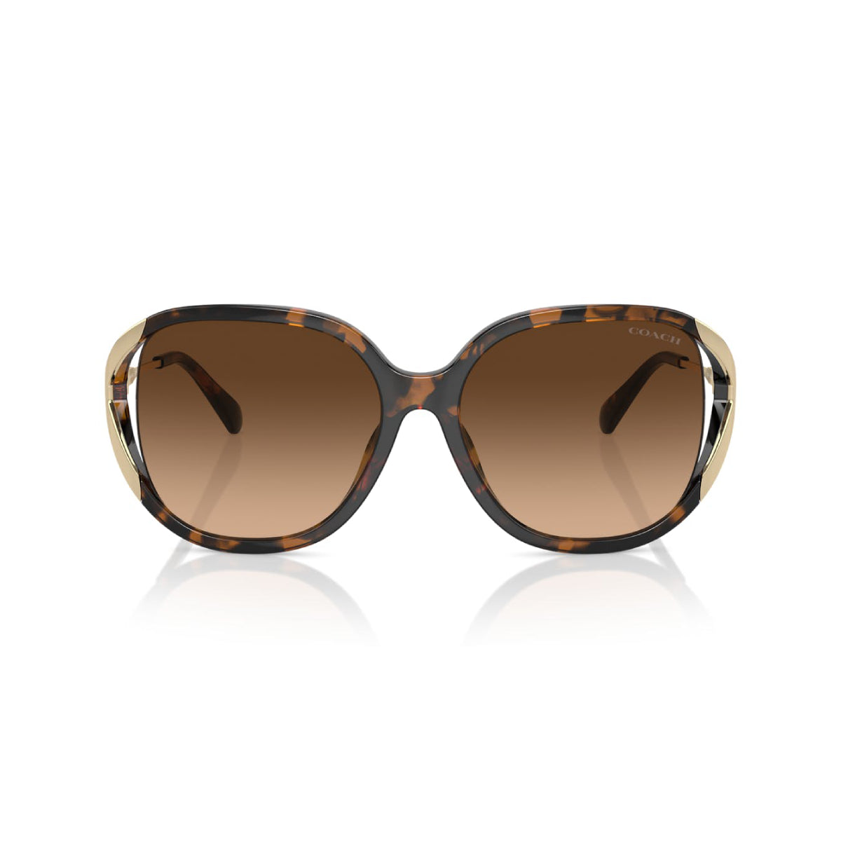 Coach HC8396U56512 Women's Oval Gradient Sunglasses