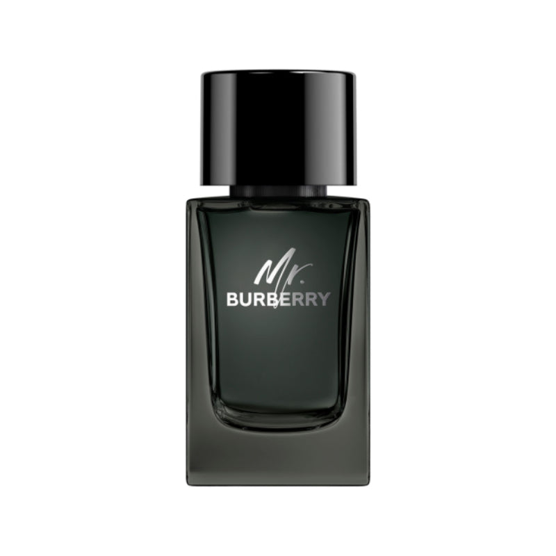 Burberry Mr.Burberry Men's 3.3 oz Eau de Parfum Spray