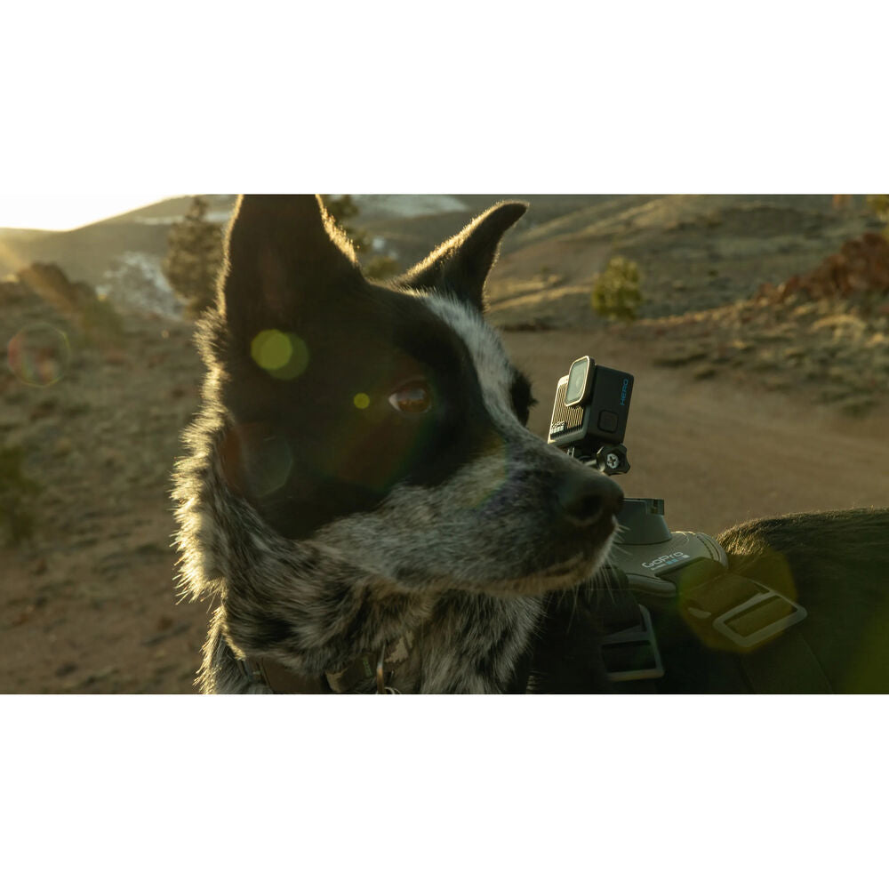 GoPro CHDHF-131-AT HERO Action Camera - Black