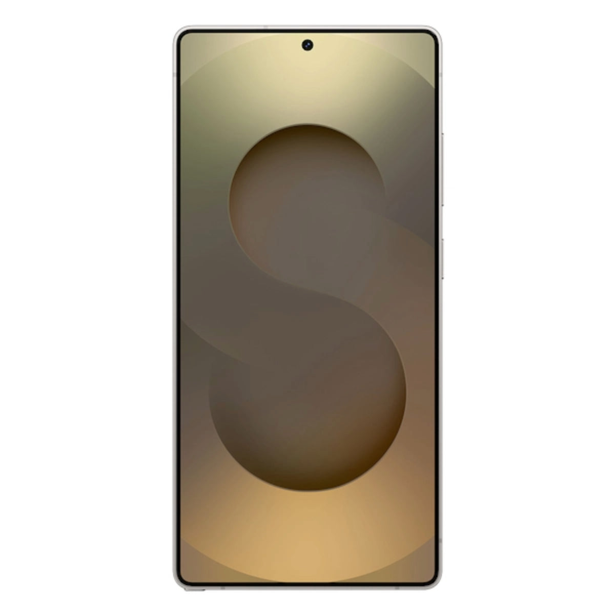 Samsung Galaxy S25 Ultra 256GB Smartphone - Gray