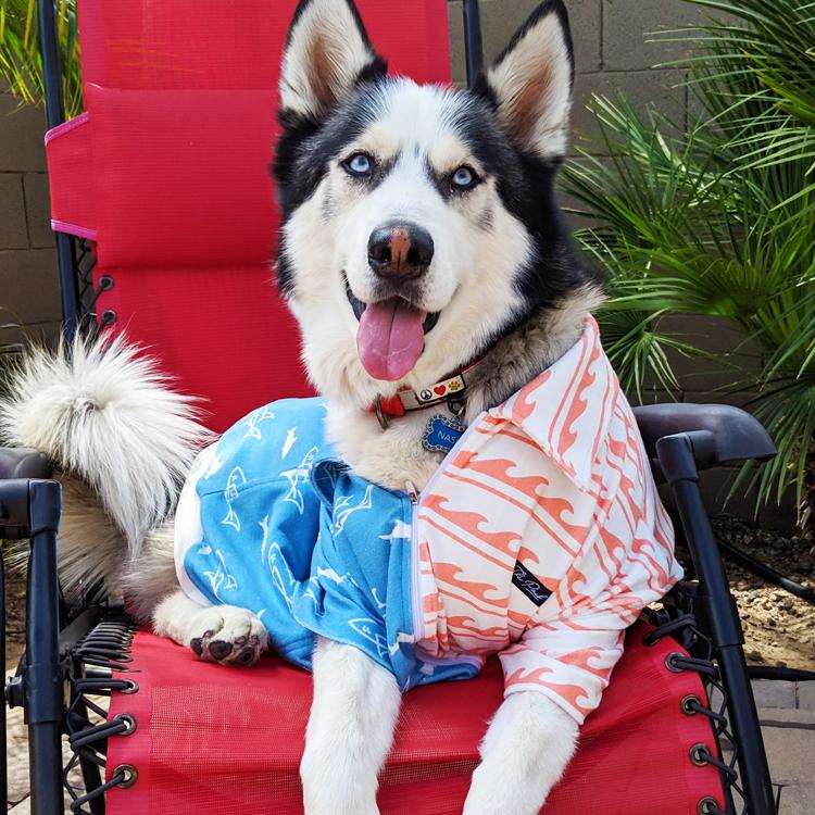 Eminence - Sharks & Stripes - Patriotic Blue Lens Polarized