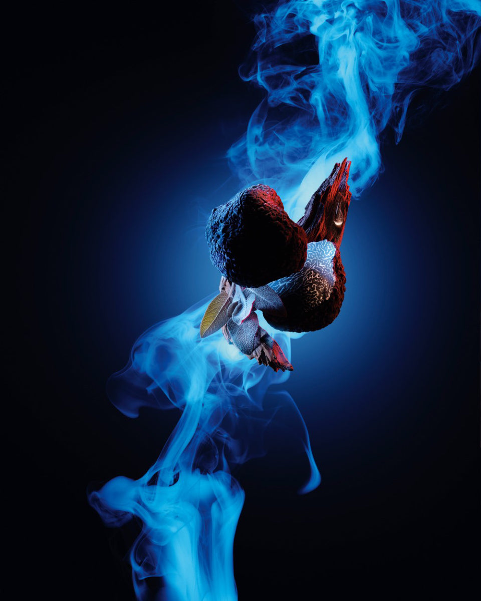 Carolina Herrera Bad Boy Cobalt Elixir Men's 3.4 oz Eau de Parfum Spray