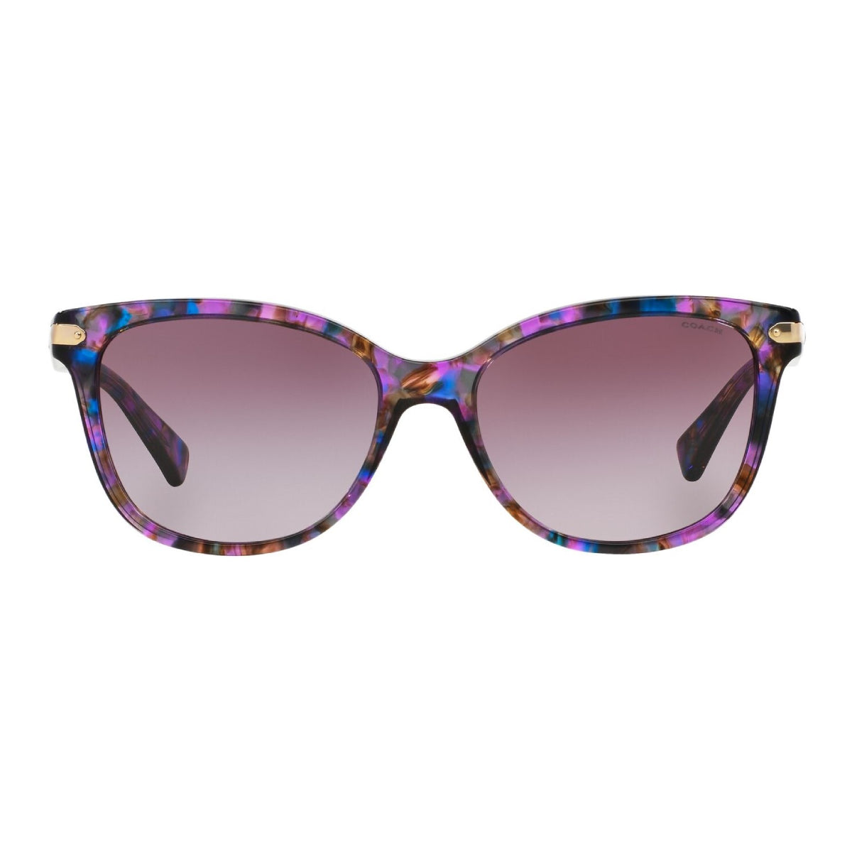 Coach HC8132 Sunglasses - Confetti Purple/Purple Gradient - Curacao