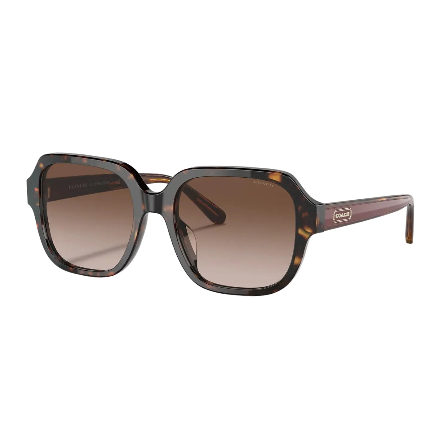 COACH Women's Sunglass, Brown Gradient