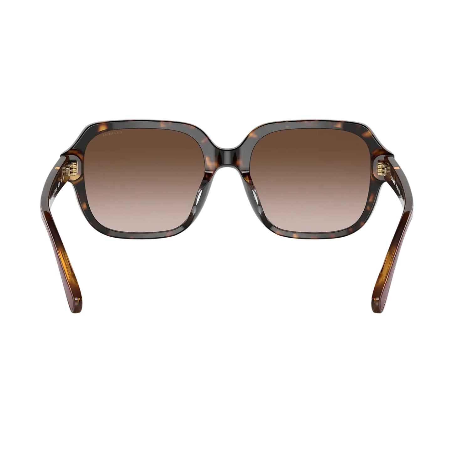 COACH Women's Sunglass, Brown Gradient