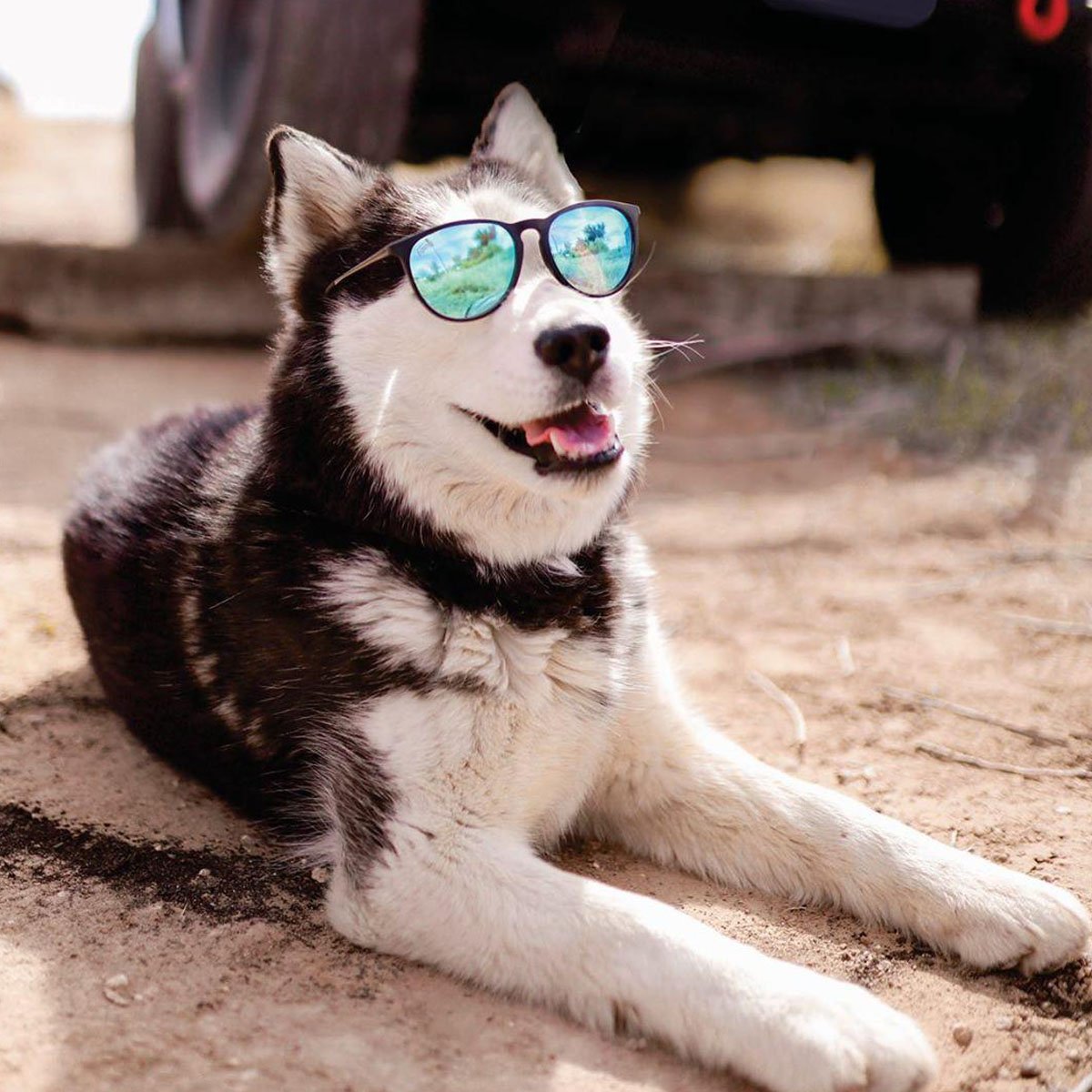 Hurricane - Matte Black - Sky Blue Polarized