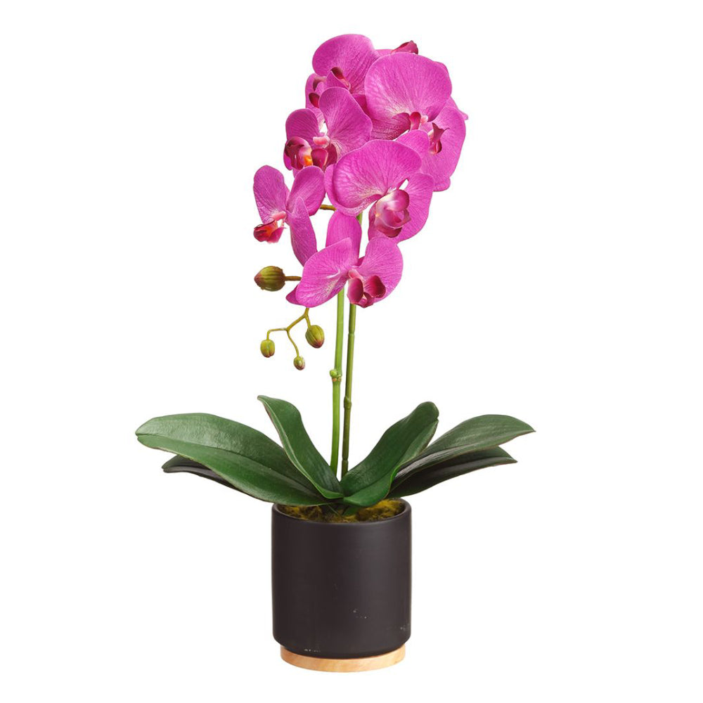 Macetero de flores de orquídea Phalaenopsis de seda floral de Allstate, color rosa
