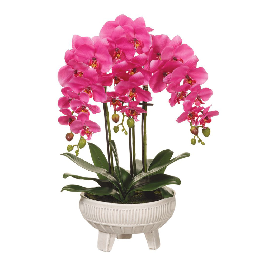 Arreglo floral de orquídea Phalaenopsis de 22" de Allstate Floral en maceta de cerámica - Rosa