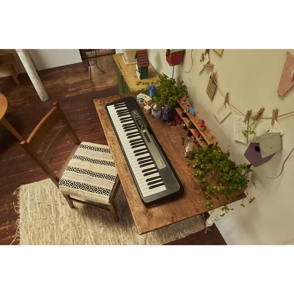 Casio LK-S250 Portable 61-Key Touch-Sensitive Portable Keyboard with Lightning Key - Black - Curacao