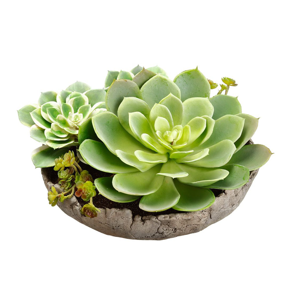 allstate floral succulents Planta suculenta artificial mixta Allstate Floral para jardín con maceta de cemento, verde