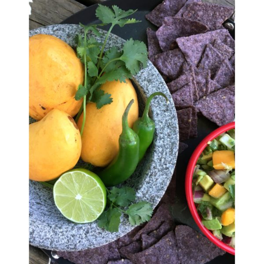 IMUSA 6" Granite Molcajete Spice Grinder - Gray - Curacao