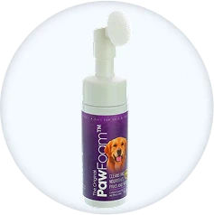 Dogs Hygiene & Health