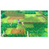 PokÃ©mon Let's Go, Pikachu! for Nintendo Switch - Curacao