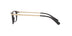 Coach Women's HC6142 Pillow Eyeglasses - Curacao