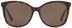 Coach HC8271U Women's Sunglasses - Dark Brown - Curacao