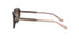 Coach HC8278 - Women's Sunglasses Rectangle Acetate - Dark Tortoise - Curacao