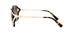 Coach Women's Sunglasses Square - Brown Gradient Polarized/Dark Tortoise - Curacao