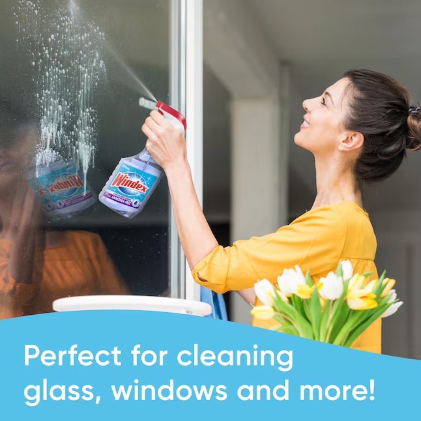 Windex 23 oz Ammonia-Free Glass Cleaner