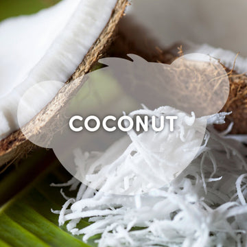 Build-A-Bear Scentiments Coconut Scent for Plush Toy