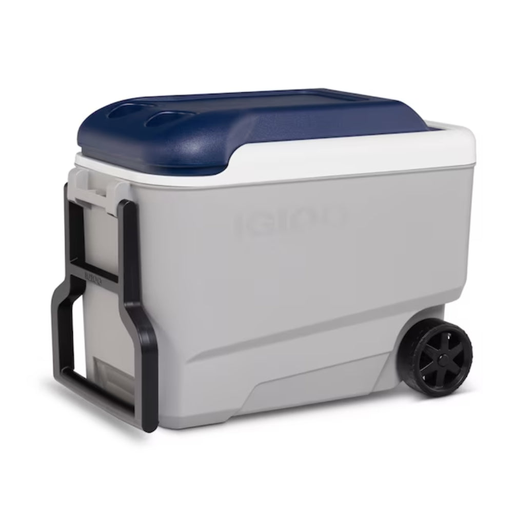 Igloo 00034814 Maxcold 40 Quart Cooler - Ash Gray