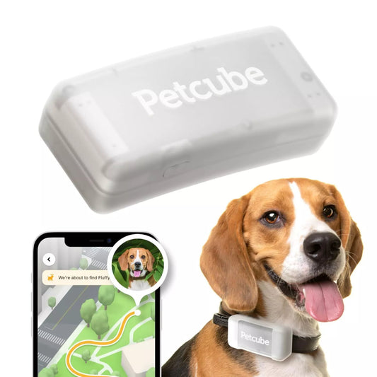 Rastreador GPS para mascotas Petcube con alertas de escape y cercas virtuales - Gris