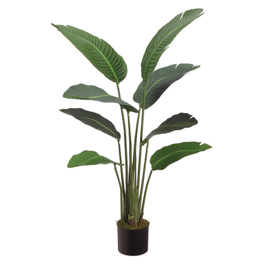 Allstate Floral 45" Bird of Paradise Plant with 8 Leaves in Pot - Green