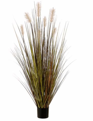 Allstate Floral 60" Pampas Grass Plant in Plastic Pot - Two-Tone Green