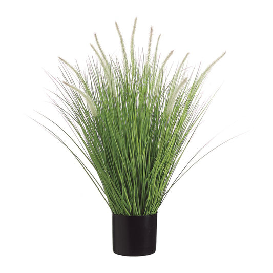 Allstate Floral 34" Dog Tail Onion Grass in Pot - Green/Cream