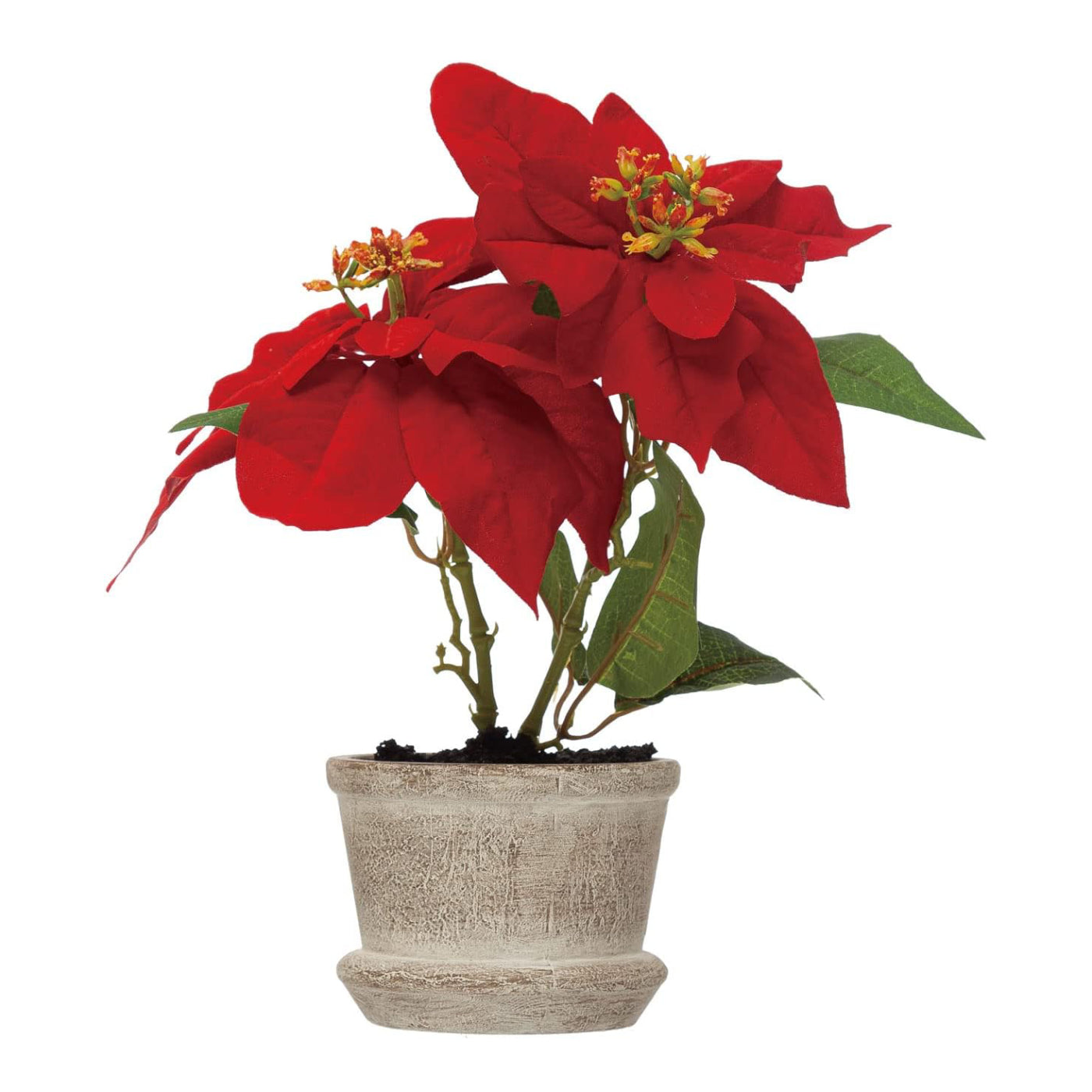 Flor de Pascua artificial redonda de Creative Co-Op