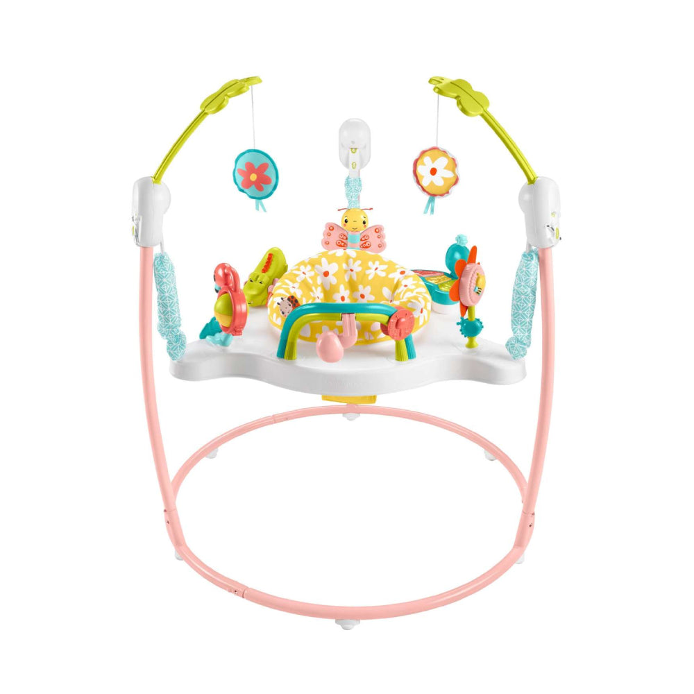 Fisher-Price Baby Bouncer Activity Center with Music and Lights - Blooming Fun Jumperoo