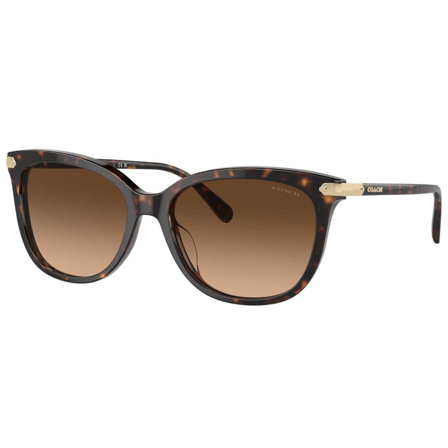 Coach Women's HC8378U51207 Cat Eye Gradient Sunglasses