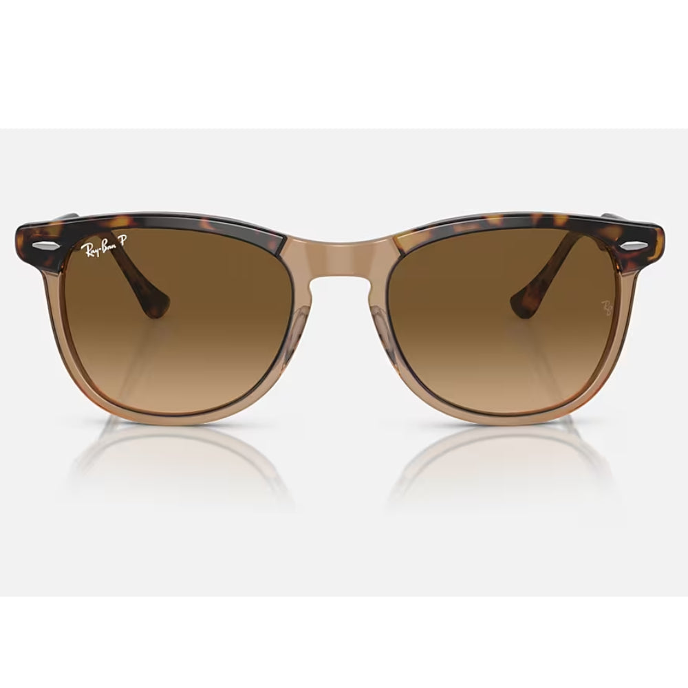 Ray-Ban Eagle Eye Unisex RB2398 Pillow Gradient Sunglasses