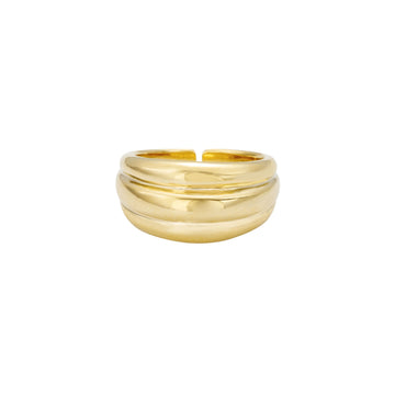 Ettika Women's Golden Memory Adjustable Ring in Gold-Tone Metal