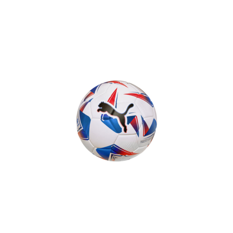 Puma Cumbre Conmebol Copa America 2024 (Official) Soccer Ball - Multicolor