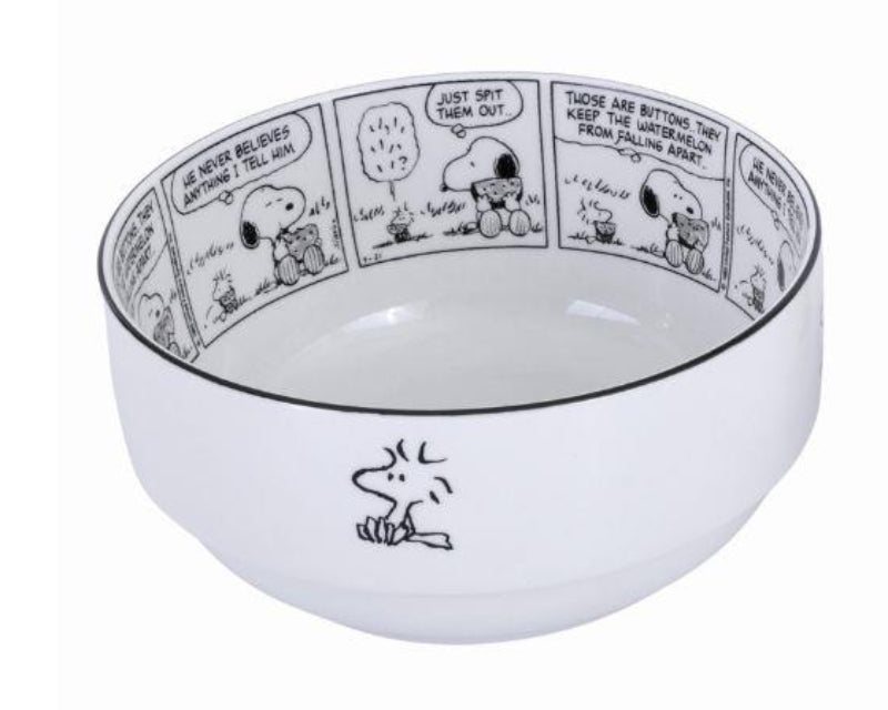 Gibson Homeware Snoopy Sunday Strips 6" Bowl Set (2 Pieces) - White