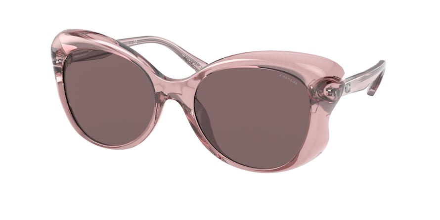 Coach Pink Mocha Sunglasses