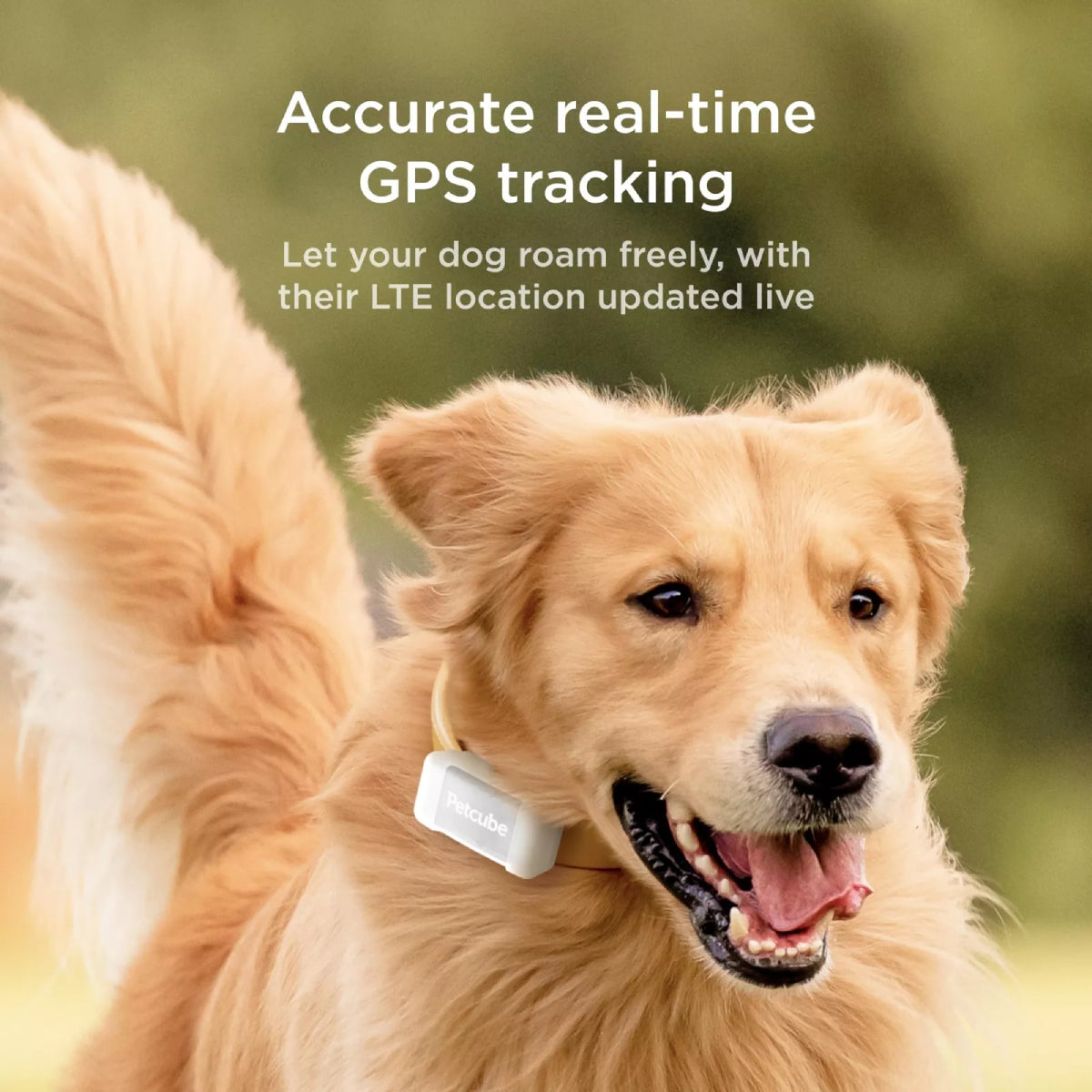 Petcube Pet GPS Location Tracker with Escape Alerts and Virtual Fences - Gray