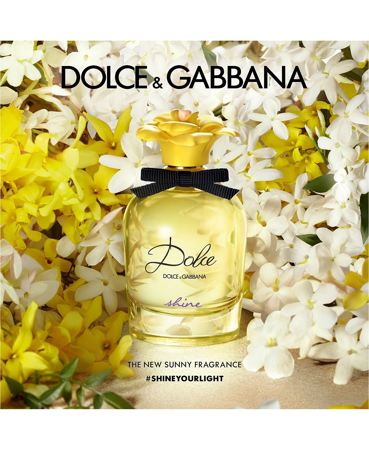 Dolce & Gabbana Shine Women's 2.5 oz Eau de Parfum - Curacao