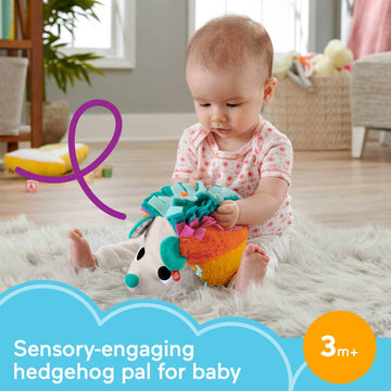 Fisher-Price Cuddle 'n Snuggle Hedgehog Plush Infant Sensory Toy With Rattle and Crinkle Sounds
