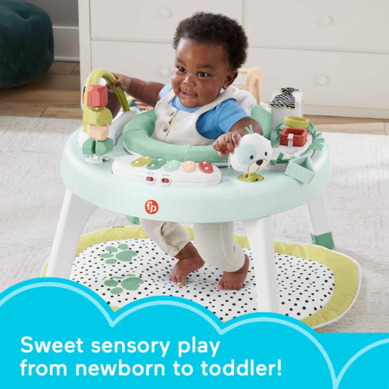 Fisher-Price 3-in-1 Snugapuppy Activity Center