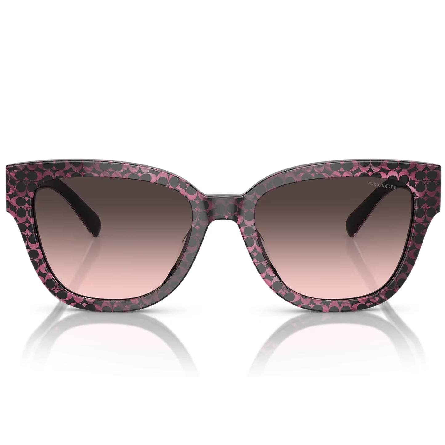 Coach Women's HC8379U57834 Butterfly Gradient Sunglasses