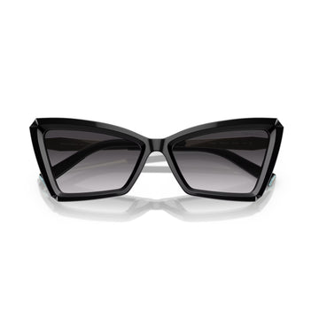 Tiffany & Co. Women's TF4203 Cat Eye Gradient Sunglasses