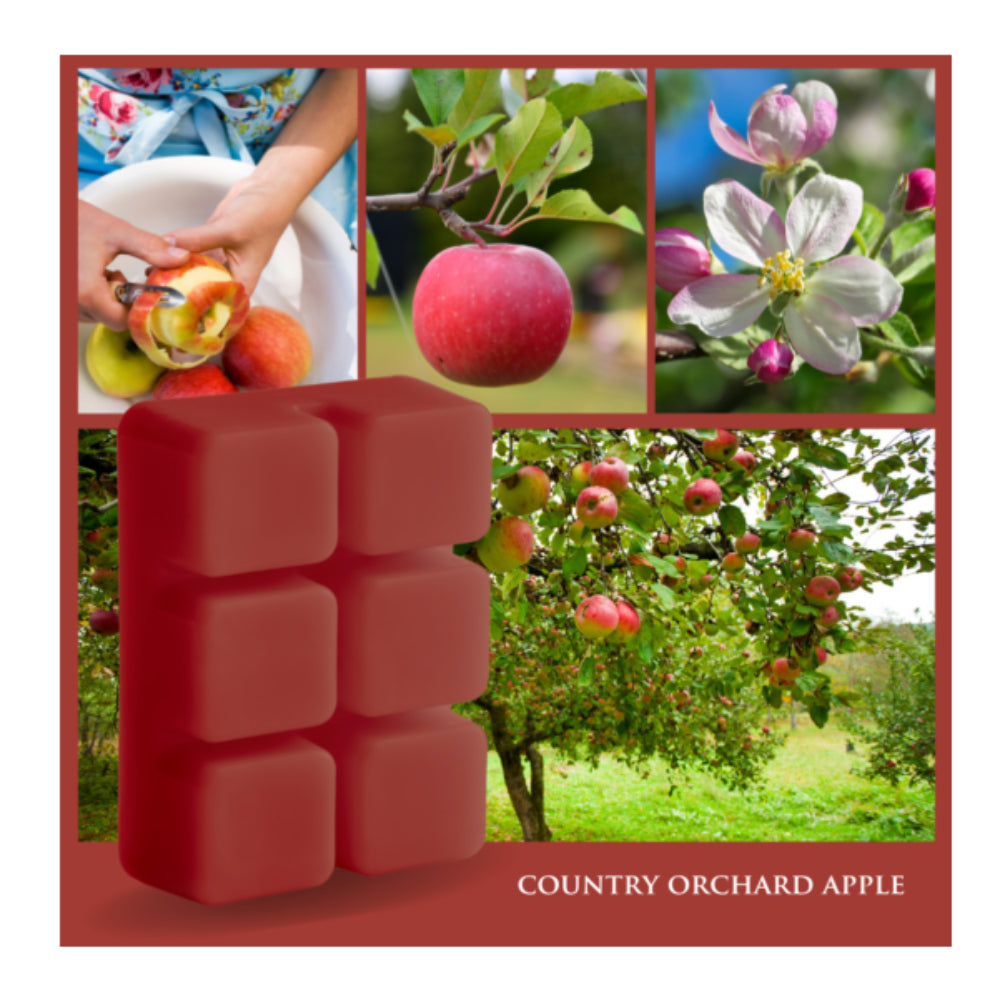 Candle Warmers  2.5 oz Classic Wax Melts - Country Orchard Apple