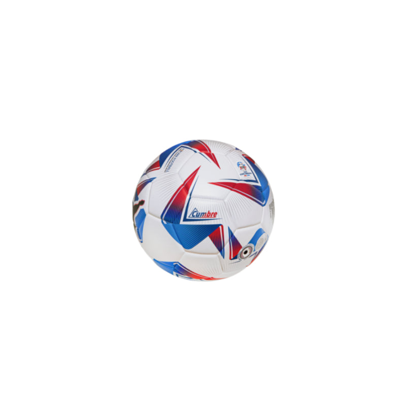 Puma Cumbre Conmebol Copa America 2024 (Official) Soccer Ball - Multicolor