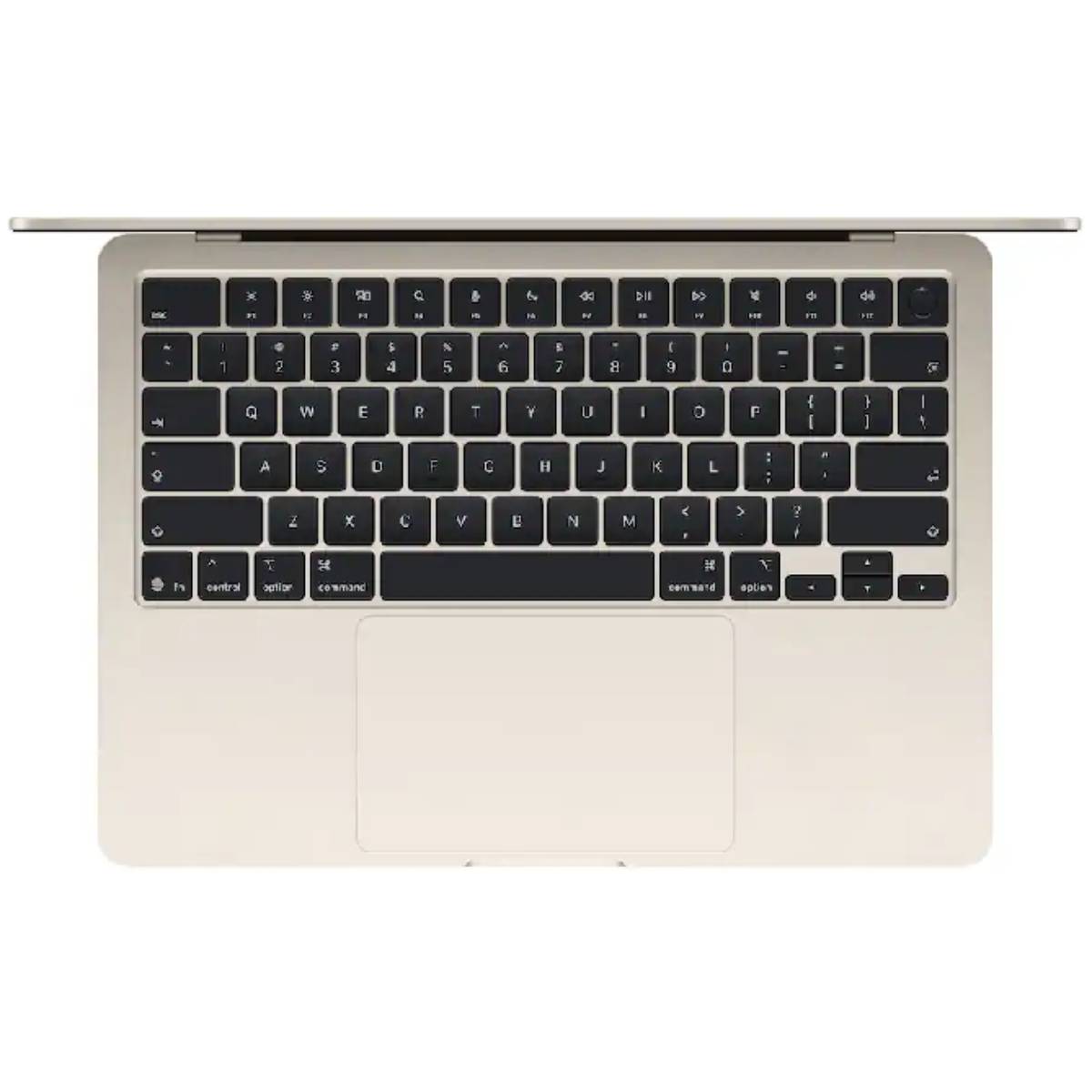 Apple 13