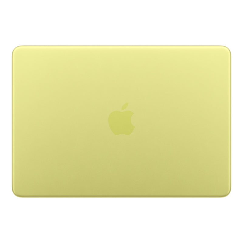 Apple 13